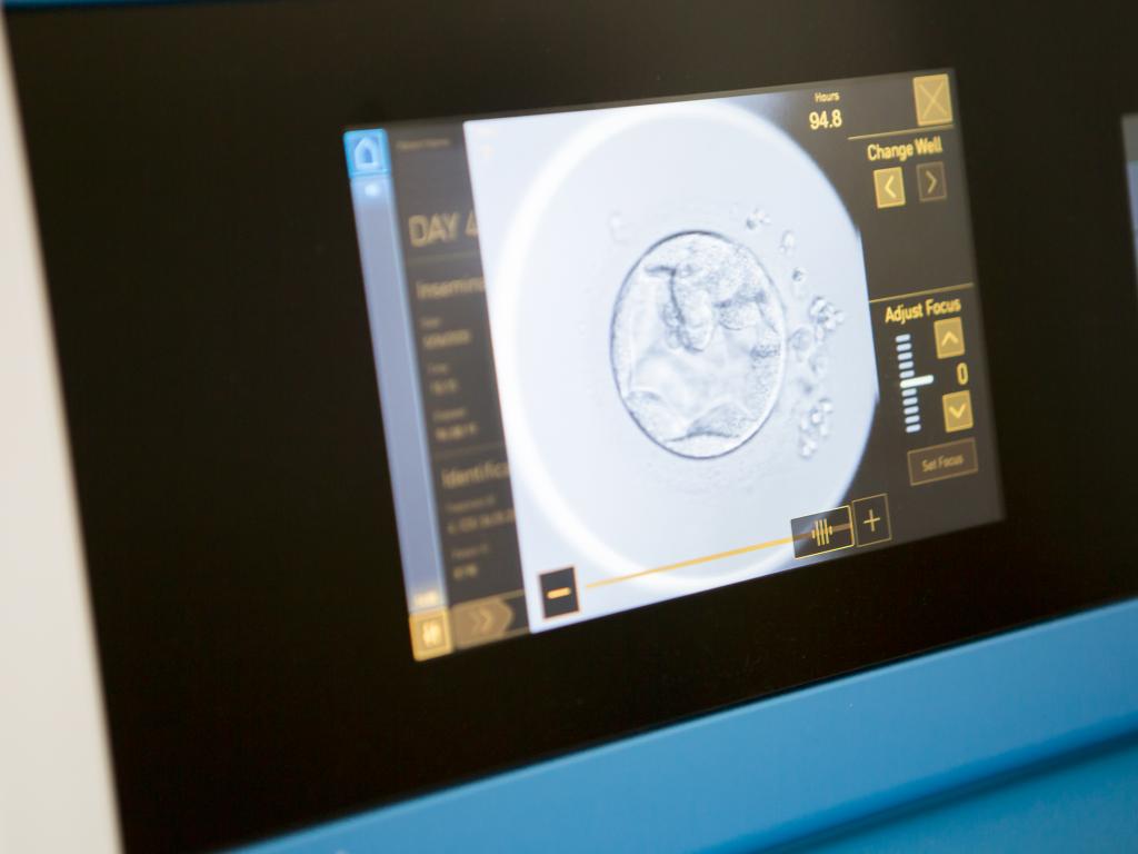 kinderwunsch_potsdam Emscope