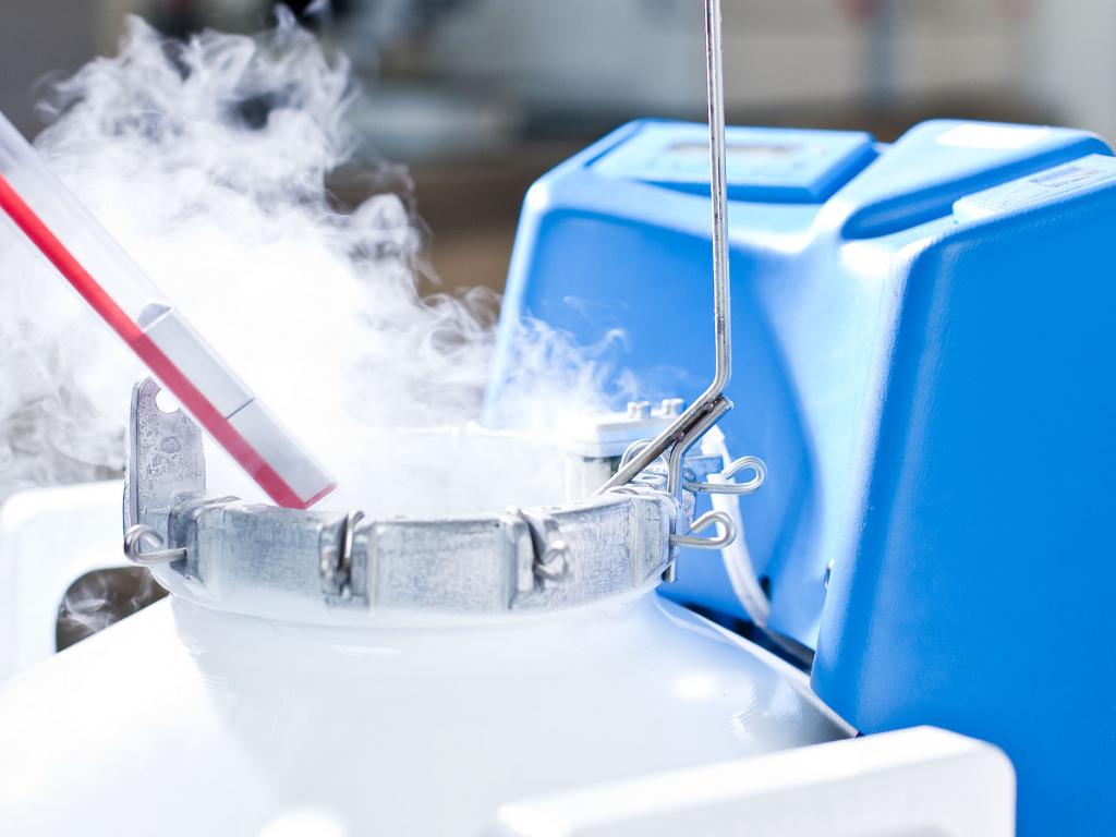 kinderwunsch_potsdam Kryo